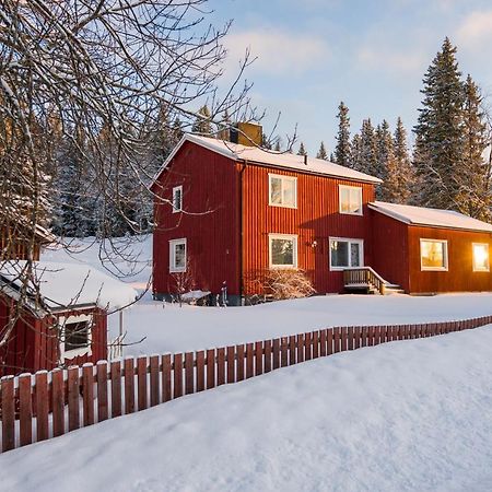 Villa The Bear'S Den Håkafot Esterno foto