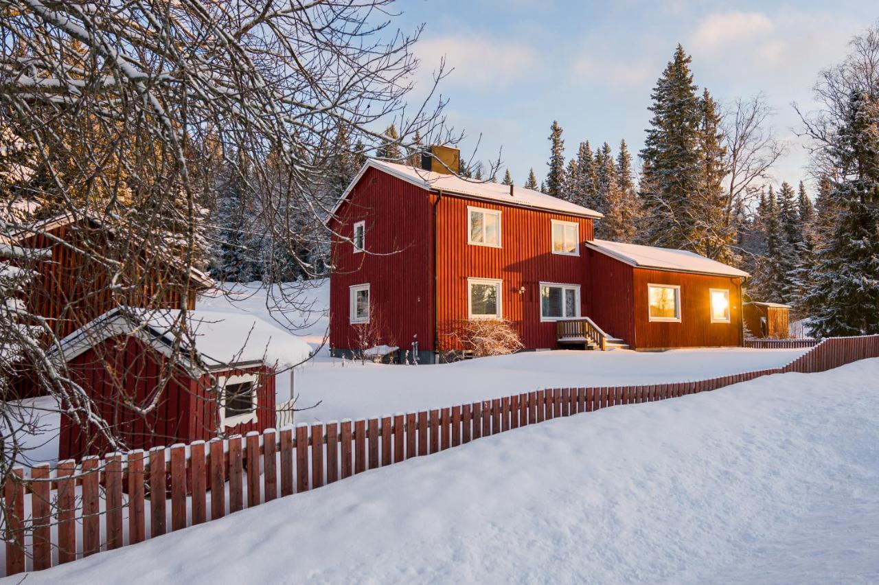 Villa The Bear'S Den Håkafot Esterno foto