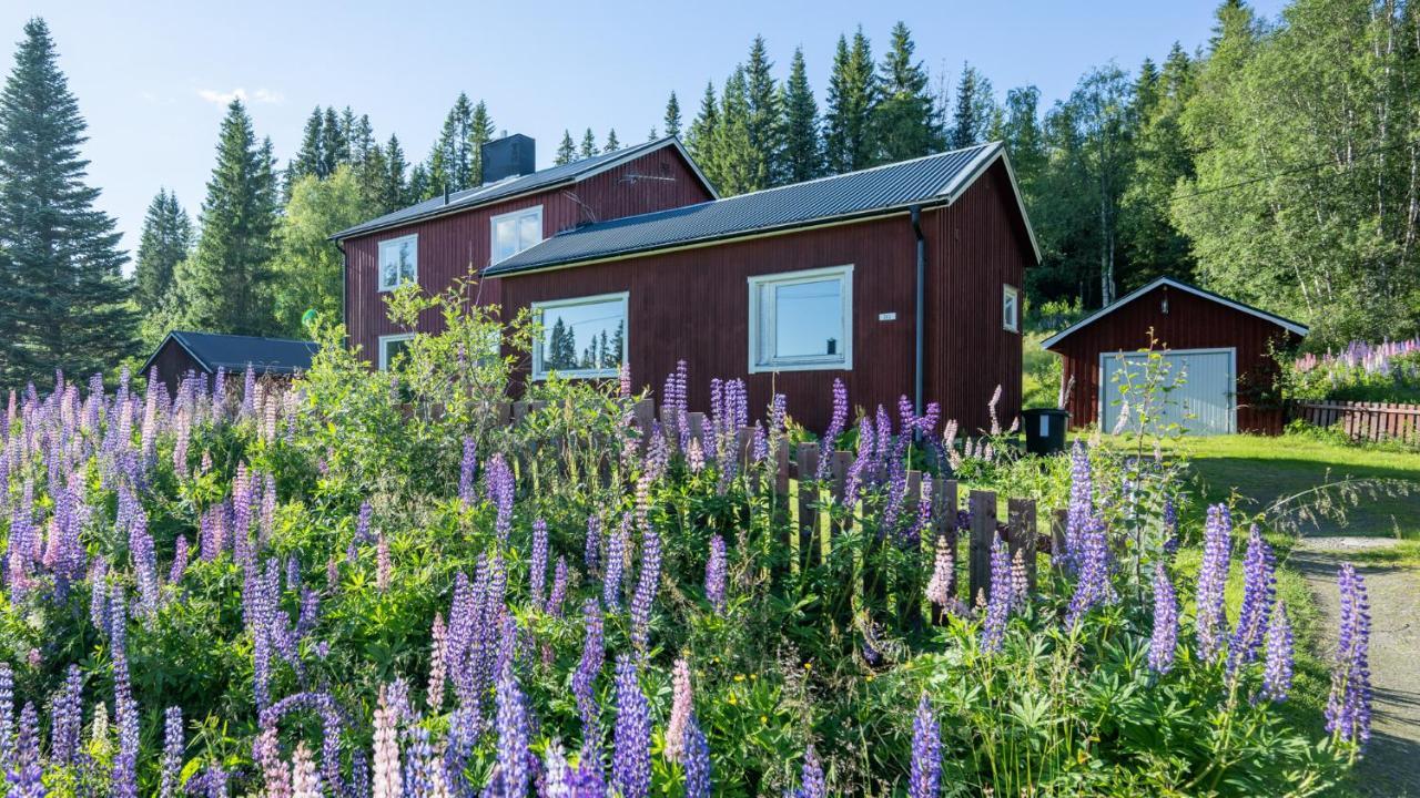Villa The Bear'S Den Håkafot Esterno foto